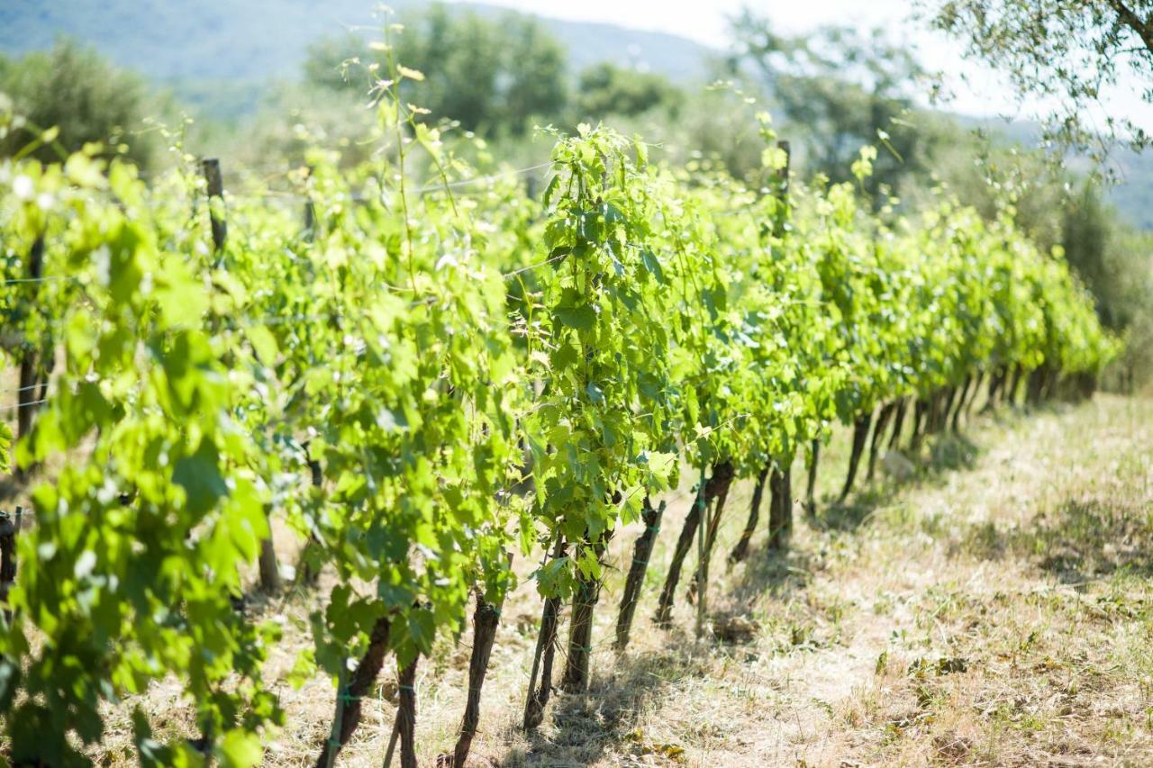 Bed and Breakfast Ancora Del Chianti Greve in Chianti Exterior foto