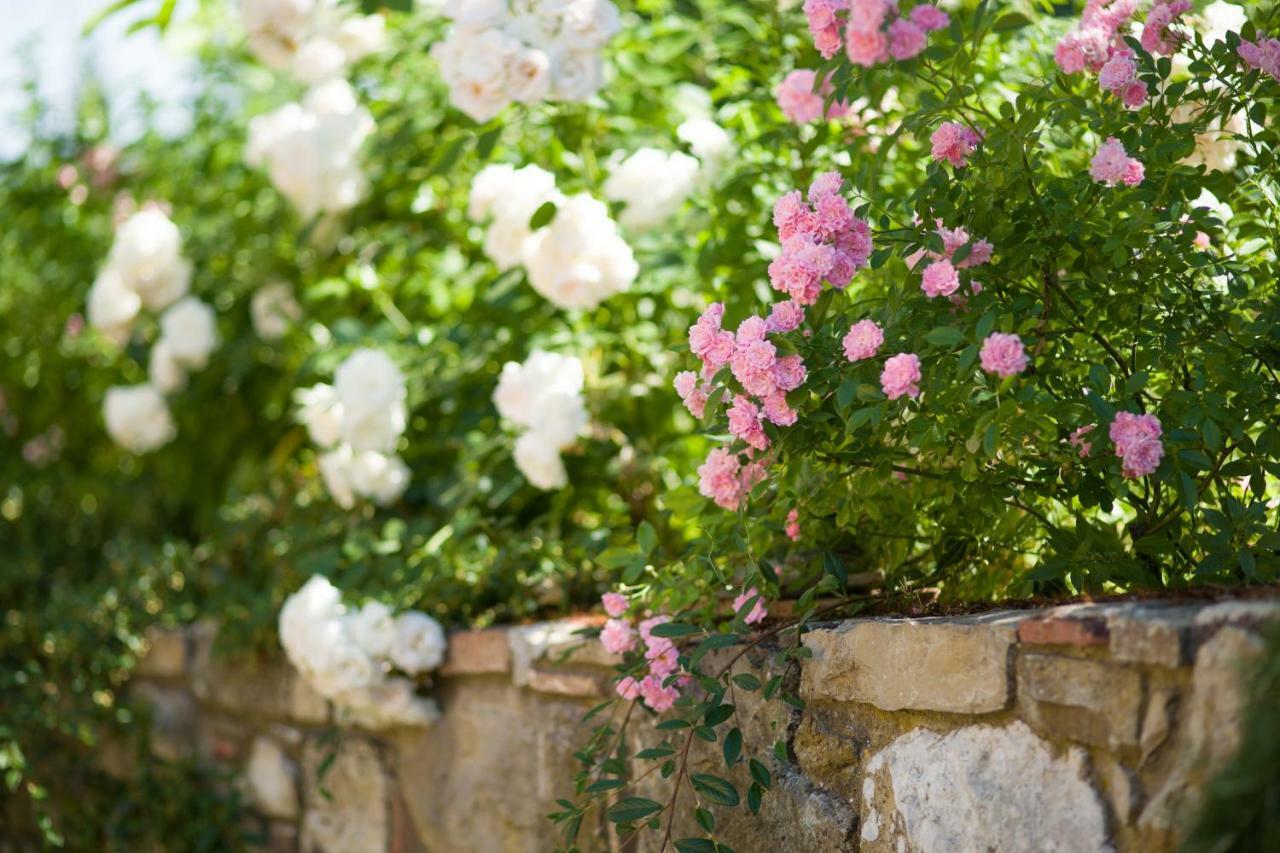Bed and Breakfast Ancora Del Chianti Greve in Chianti Exterior foto